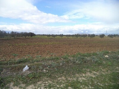 av terrain agricole de 9000m de landria bouficha