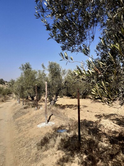 av terrain de 1456m² de hammamet