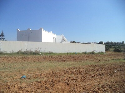 av terrain situé a hammamet sud