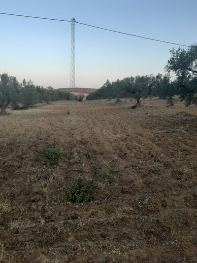 av terrain agricole de 15000m²