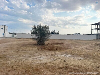 Vente Terrain Loriot Hammametyasmine
