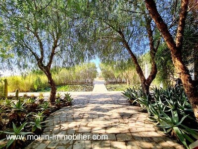 Villa Lotus AV aux vergers de Hammamet