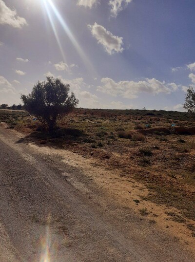 av des lots de 400m situé a hammamet sud