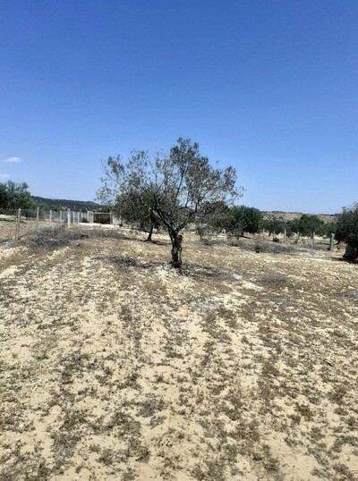 av un terrain 5350m² cloturé a hammamet sud