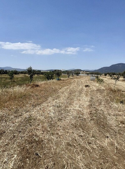 av un terrain 8500m² situé a hammamet latrech