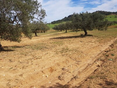 av un terrain a sidi jdidi de 3000m²