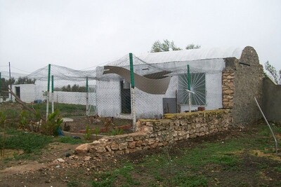 AV maison avec un grand jardin V