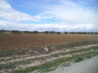 av terrain 9000m² de 140md à hammamet sud