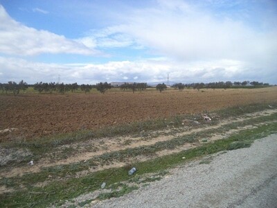 av terrain 9000m² située à landaria bouficha hammamet