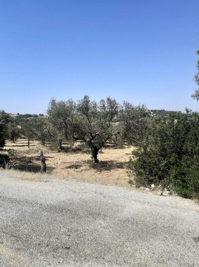 av terrain 1456m² 115md à hammamet