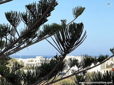 Location Appartement citrine S+1 Hammametnord