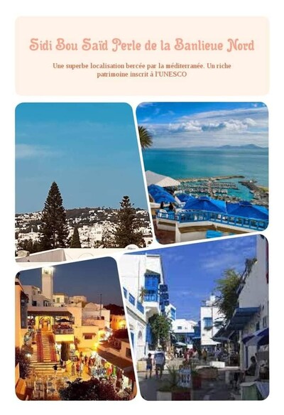 Sidi Bou Saïd joli appartement avec 3 suites