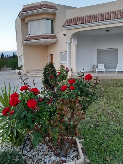 Vente villa 400 m² S+5 sur Terrain Agricole de 1 ha à O Ellil