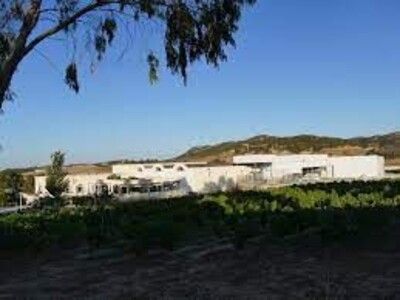 usine de production vin 17 000000dt