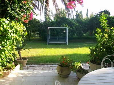 Frangipani Villa in Hammamet