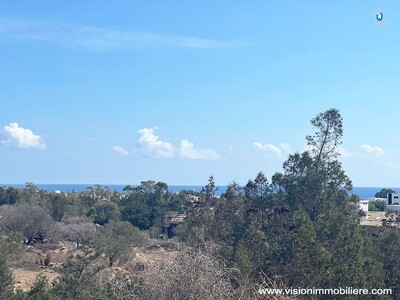 Vente Terrain christ Hammametnord