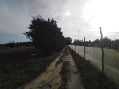 terrain agricole a azmour