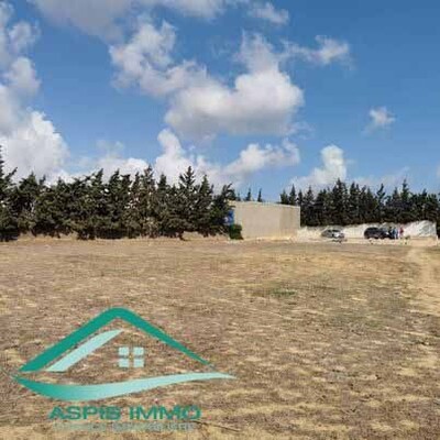 Terrain agricole 7226 m² à Kelibia