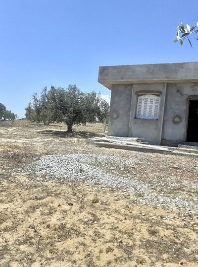 av 5350m avec studio à hammamet sud