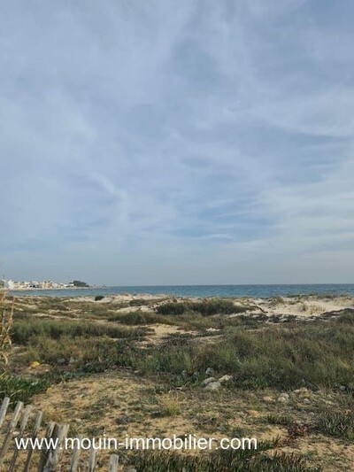 TERRAIN MIRANDA AV à Jinen Beni Khiar