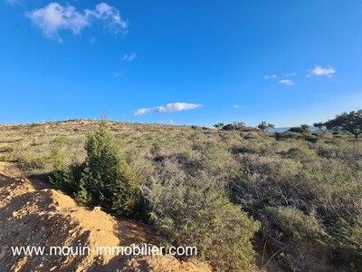 TERRAIN LEOPARD AV à Nabeul Dar Chaaben