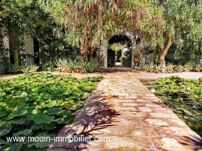 VILLA LOTUS AV I à Hammamet
