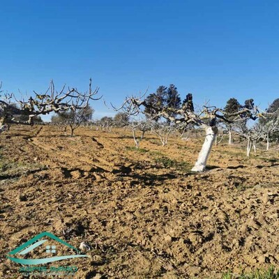 Terrain agricole 5 337 m² à Kelibia