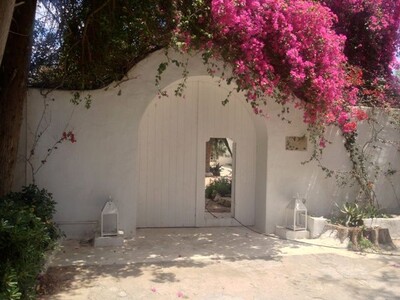 Dar Bougainvillier A Hammamet