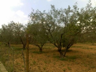 Ground Abu Nawess