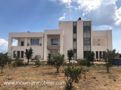 TERRAIN NASR 3 AV Hammamet Sud I