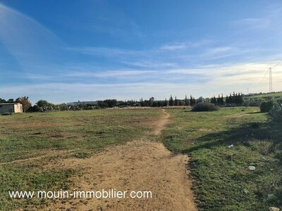 TERRAIN DANA AV Latrach Birbouregba I