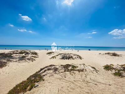 Vente Appartement Citronelle à Sidi Mahressi