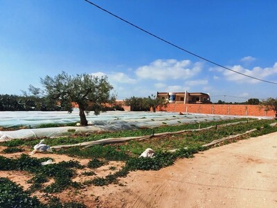 Terrain a daroufa plage Maamoura