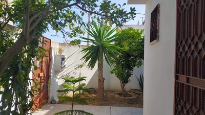 Tazarka 280dtsemaine