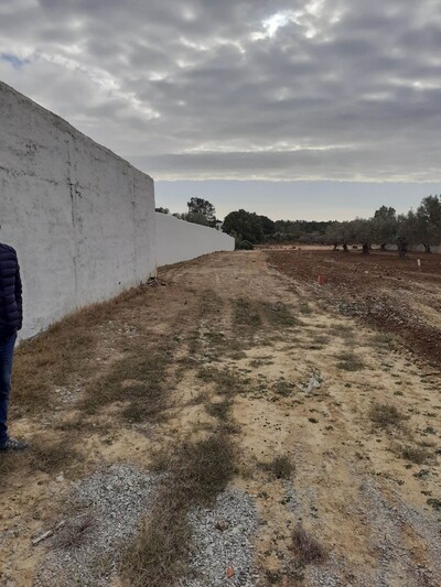 Av des lots de 500m sur Ga hammamet