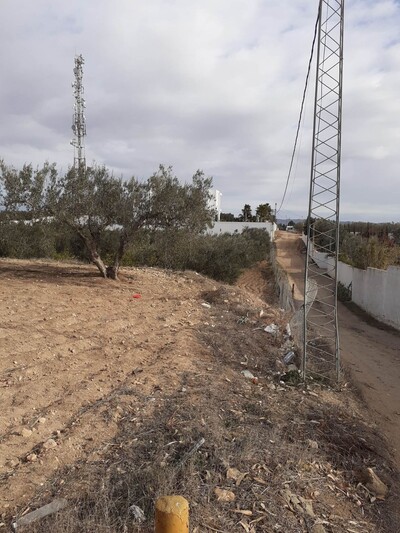 Av terrain de 800m pas loin de jinen hammame