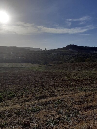 terrain agricole de 10000m à hammamet