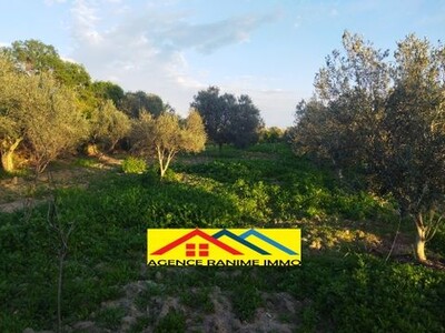 Ferme a l'entoure d'el haouaria cap bon