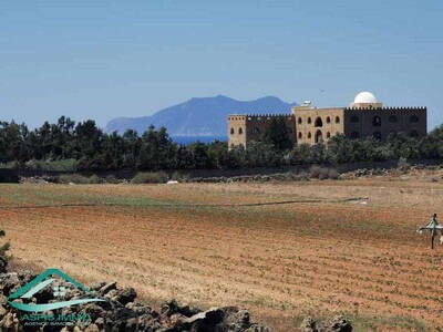 Terrain agricole à sidi daoued hawaria