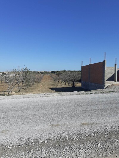 av 500m à ben wael hammamet