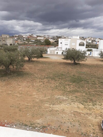 av terrain de 300m à sidi hammed