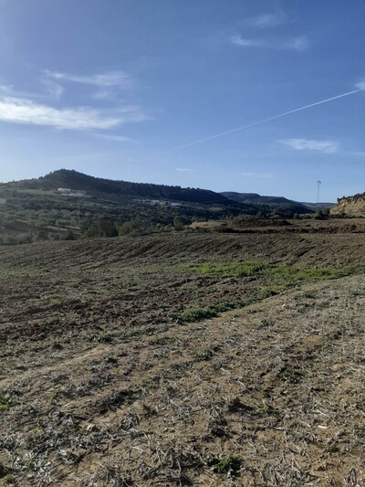 av terrain agricole de 1 hectare à hammamet