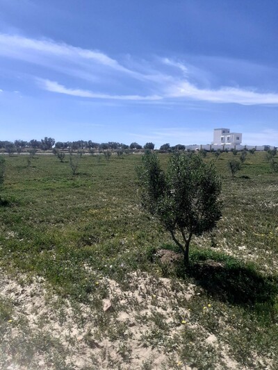 forsssaaaa tayara 1000m a 35md à hammamet sud