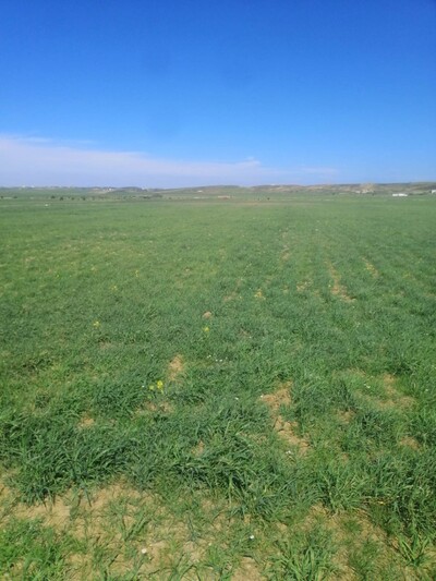 Terrain 18000 m² à azmour