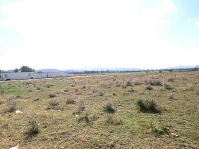 A VENDRE A GROMBALIA TERRAIN VIABILISE