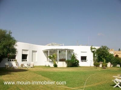 Villa Norvej NI AL à Hammamet Mimosas