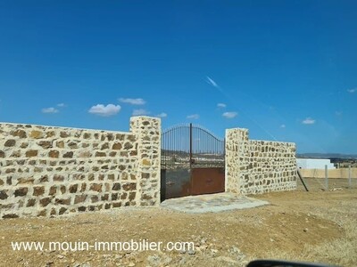 TERRAIN MZIRAA AV à Hammamet Birbouregba II II