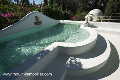 Villa Des IIV Palmiers Hammamet