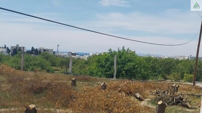 terrain a hammamet avec vue mer et bon voisinage
