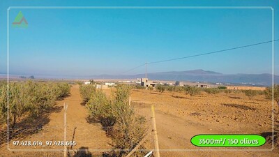 terrain a sidi jdidi Hammamet